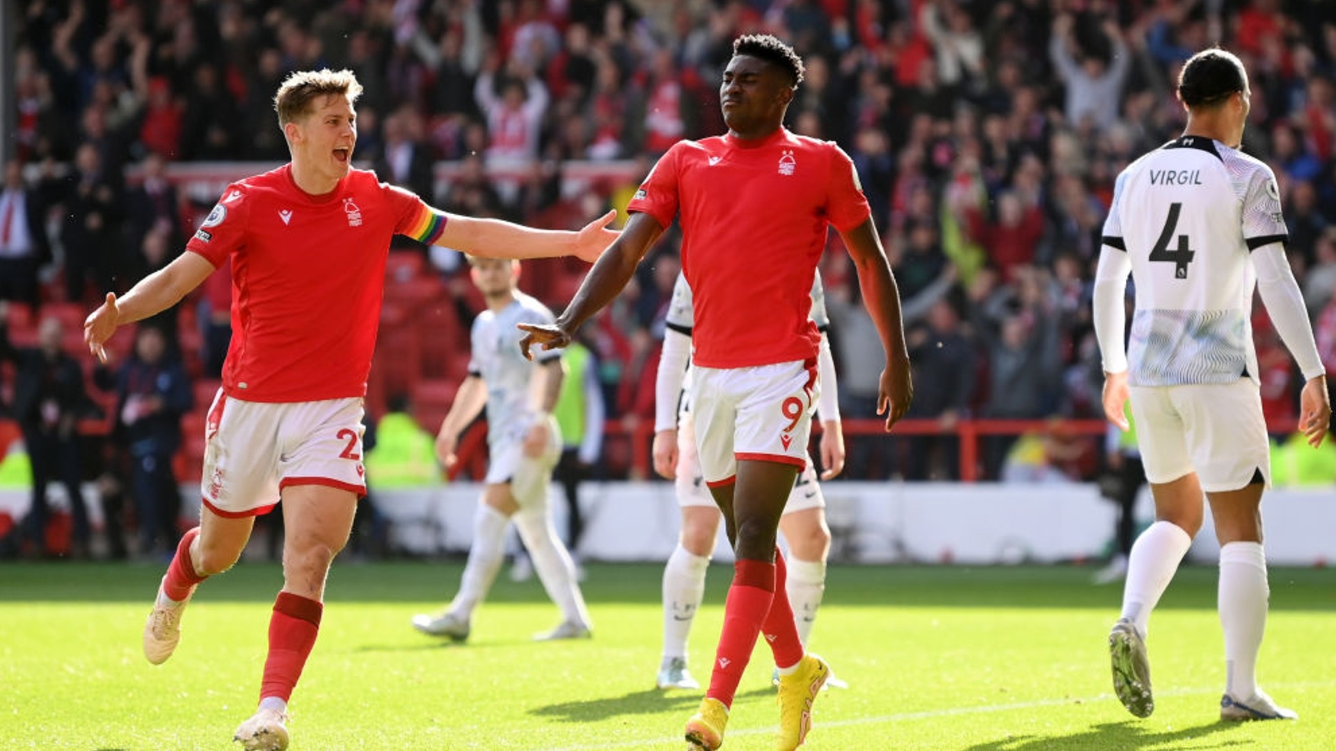 注为伯恩茅 注为伯恩茅